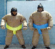 Sumo Wrestling